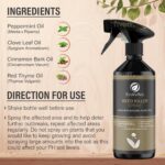 EcoValley Natural Weed Killer Spray